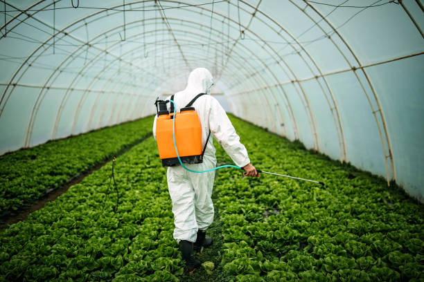 Best Pest Control Near Me in Blooming Prairie, MN