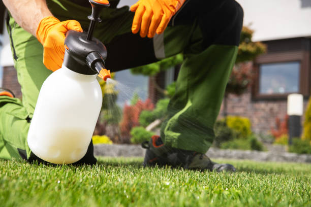 Best Mosquito Control Services  in Blooming Prairie, MN