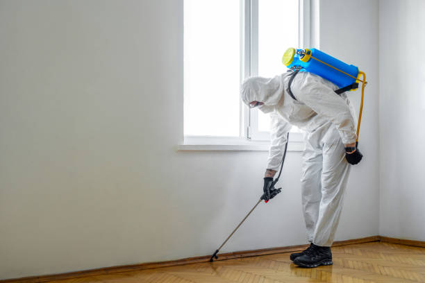 Pest Control for Restaurants in Blooming Prairie, MN