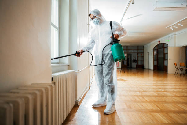 Best Cockroach Control Services  in Blooming Prairie, MN
