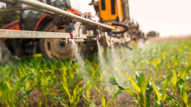 Best Pest Removal Services  in Blooming Prairie, MN