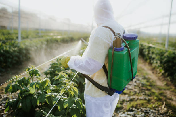 Trusted Blooming Prairie, MN Pest Control Experts